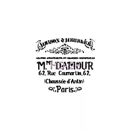 Home Decor (Duvar) Stencıl 45*45 cm HD-28