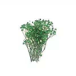 Epoksi Reçine Süsleme Yeşil Kuru Çiçek Cipso