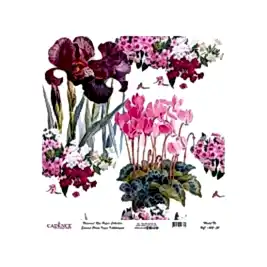 Model UC002 Evrensel Pirinç Kağıt Koleksiyonu 60x62