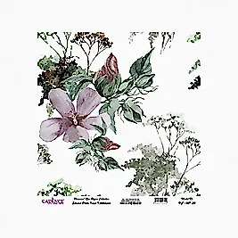 Model UC027 Evrensel Pirinç Kağıt Koleksiyonu 30x32