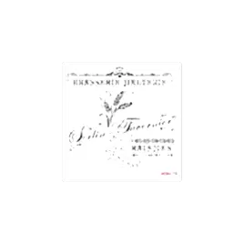 Home Decor Midi Stencil 22*22 cm hdm-19