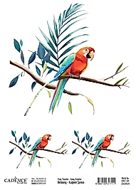 Cadence Kuşların Şarkısı Kolay Transfer BRET-01