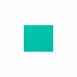 Mint Yeşili 750 ml. - 5050