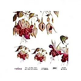 Model UC030 Evrensel Pirinç Kağıt Koleksiyonu 90x92