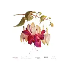 Model UC028 Evrensel Pirinç Kağıt Koleksiyonu 90x92