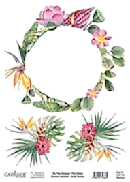 Cadence Dairesel Yapraklar Pirinç Koleksiyonu LRRP-04