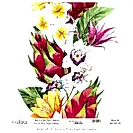 Model UC145 Evrensel Pirinç Kağıt Koleksiyonu 90x92