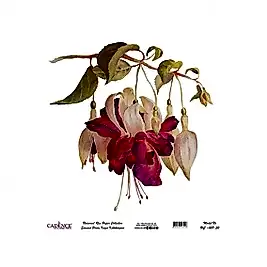 Model UC028 Evrensel Pirinç Kağıt Koleksiyonu 60x62