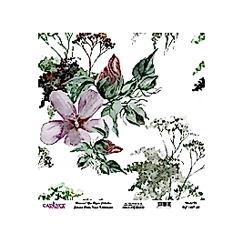 Model UC027 Evrensel Pirinç Kağıt Koleksiyonu 60x62