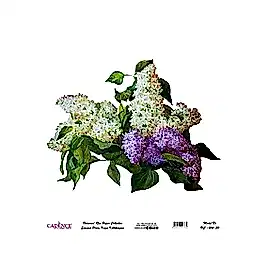 Model UC004 Evrensel Pirinç Kağıt Koleksiyonu 90x92