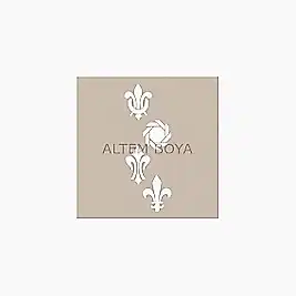 UA Stencıl UA-25 (10*25 cm)