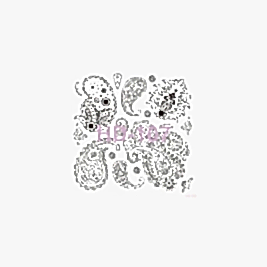 Home Decor (Duvar) Stencıl 45*45 cm HD-107