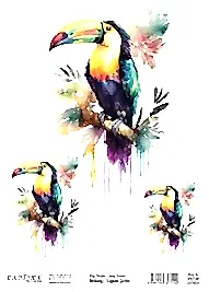 Cadence Kuşların Şarkısı Kolay Transfer BRET-04