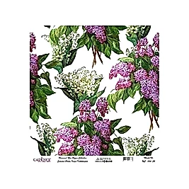 Model UC014 Evrensel Pirinç Kağıt Koleksiyonu 60x62