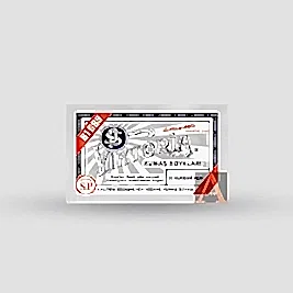 Toz Kumaş Boyası Açık Kurşuni V-33