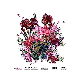 Model UC001 Evrensel Pirinç Kağıt Koleksiyonu 90x92