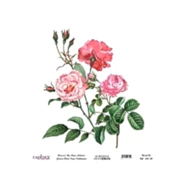 Model UC041 Evrensel Pirinç Kağıt Koleksiyonu 30x32