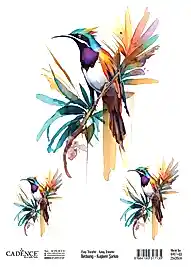 Cadence Kuşların Şarkısı Kolay Transfer BRET-03