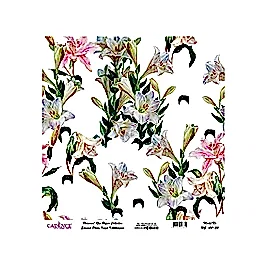 Model UC011 Evrensel Pirinç Kağıt Koleksiyonu 90x92