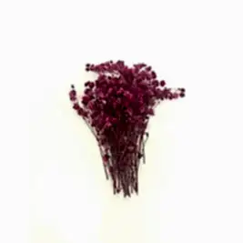 Epoksi Reçine Süsleme Mor Kuru Çiçek Cipso