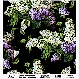 Model UC006 Evrensel Pirinç Kağıt Koleksiyonu 60x62