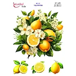 ST 429 25X35 SULU TRANSFER