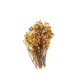Epoksi Reçine Süsleme Sarı Kuru Çiçek Cipso