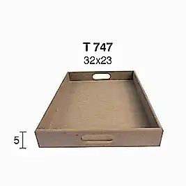 T 747 KÜÇÜK DÜZ DİKDÖRTGEN TEPSİ