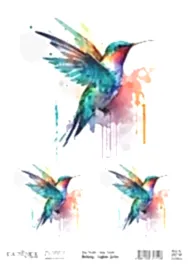 Cadence Kuşların Şarkısı Kolay Transfer BRET-02