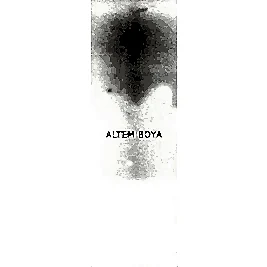 Very Chalky Beyaz CH-01