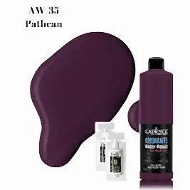 AW35 Patlıcan Ambiante Islak Zemin Boyası 500ML + Katalizör 20GR