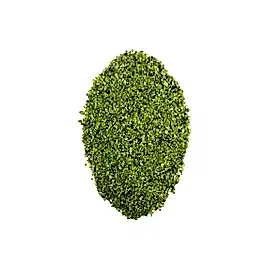 Epoksi Reçine Süsleme Deniz Kumu Yeşil 100 gr