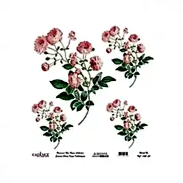 Model UC042 Evrensel Pirinç Kağıt Koleksiyonu 60x62