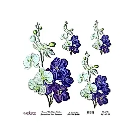 Model UC021 Evrensel Pirinç Kağıt Koleksiyonu 30x32