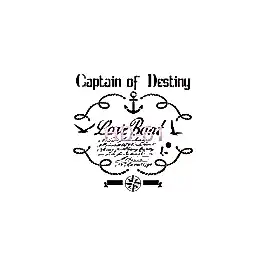 Home Decor (Duvar) Stencıl 45*45 cm HD-61