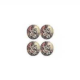 Gülsün Ülkü 17*25 G-106