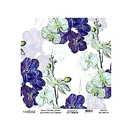 Model UC023 Evrensel Pirinç Kağıt Koleksiyonu 90x92