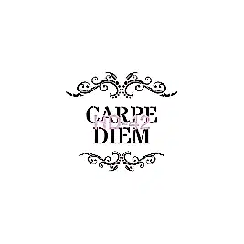 Home Decor (Duvar) Stencıl 45*45 cm HD-42